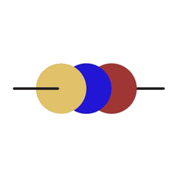 Business studies grade 12