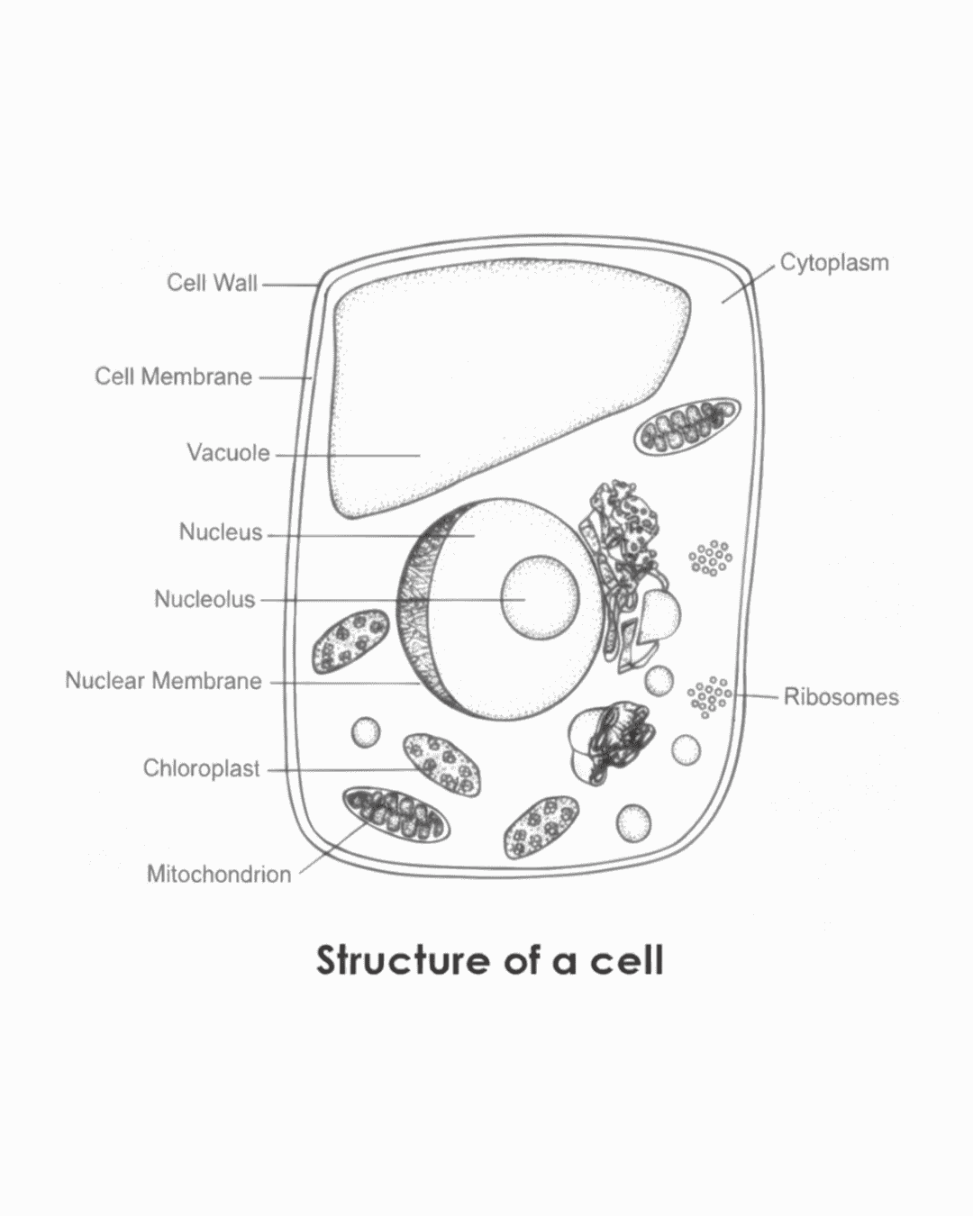 life science grade 12