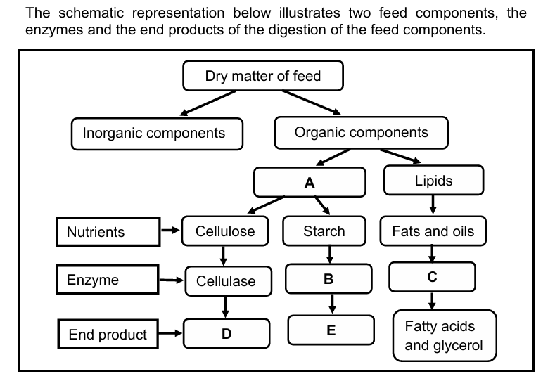 Q 2.7.1(a) Identify A